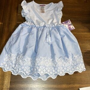 Beautiful New Blueberi toddler dress size 3t